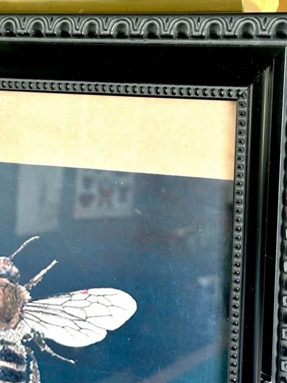 Bumble Bee Canvas Print Wall Art Black Framed Wildflowers Flowers Vintage Style